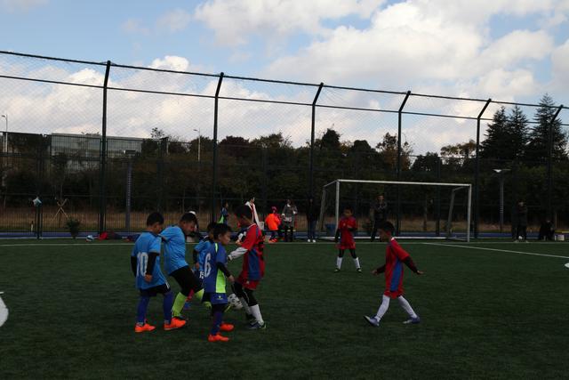 WCBA进入3-4周临时休整期 各队返回驻地休整